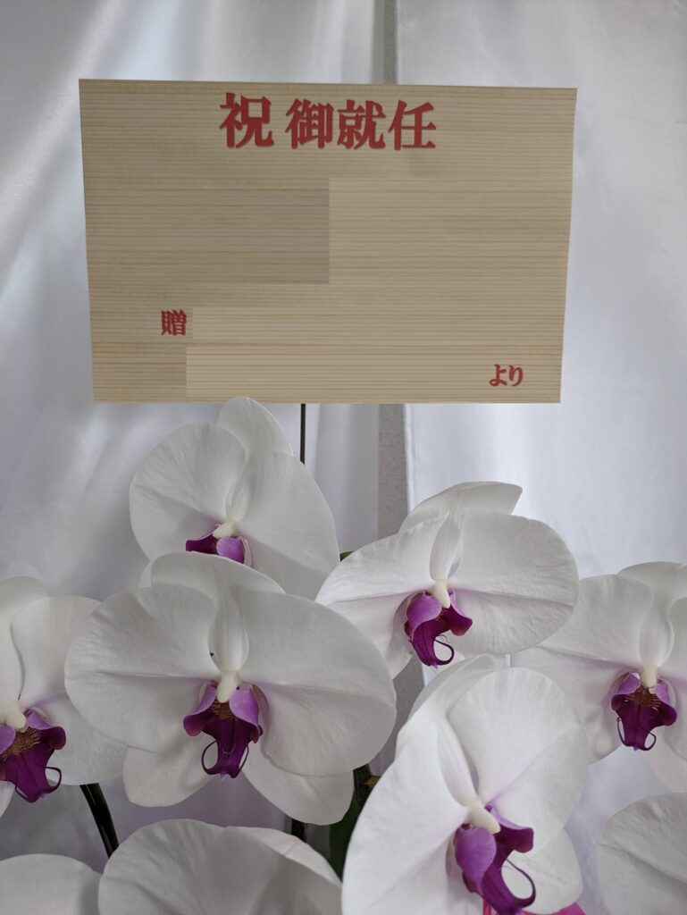 沖縄のオンライン花屋・胡蝶蘭配達専門店